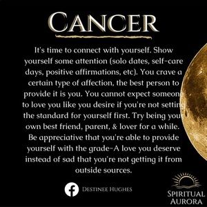 Meet your Posher, Ying